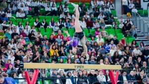 grand prix della ginnastica 0431 sfe08321 copia simone ferraro ph